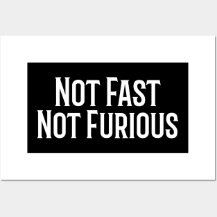 Not Fast, Not Furious Posters and Art